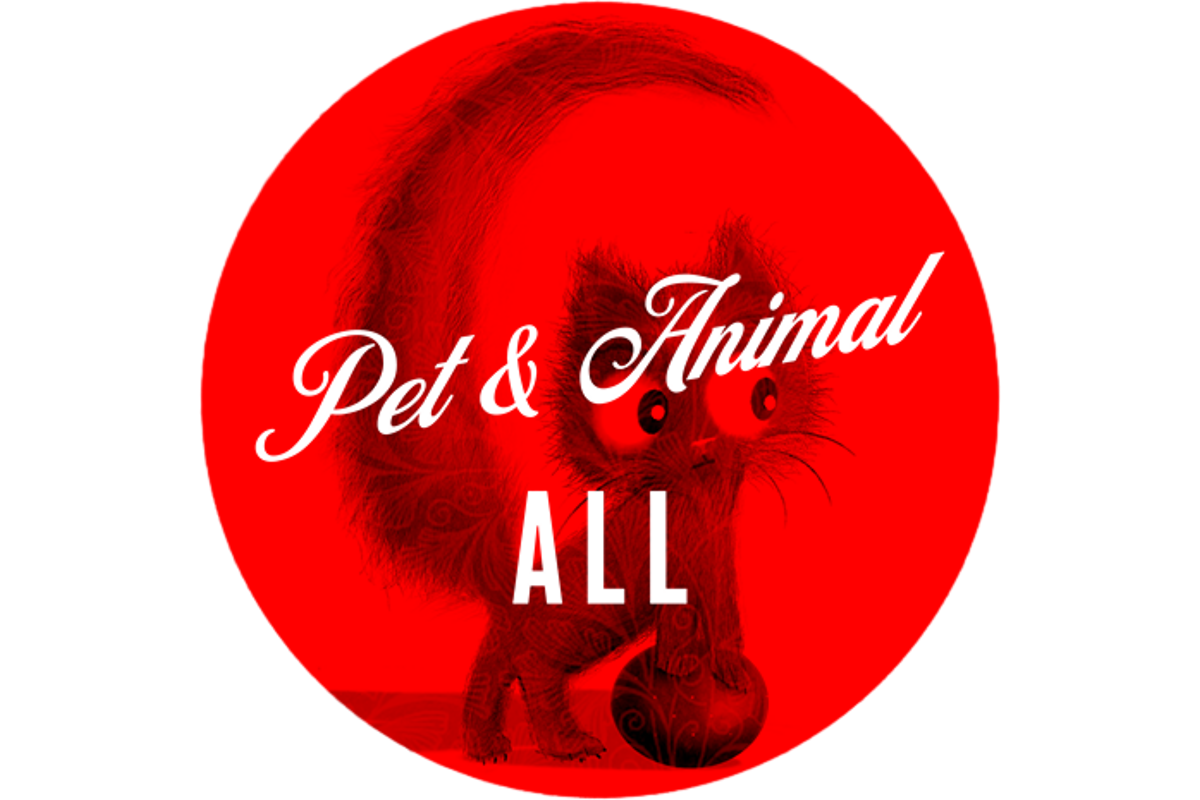 Pet & Animal - ALL