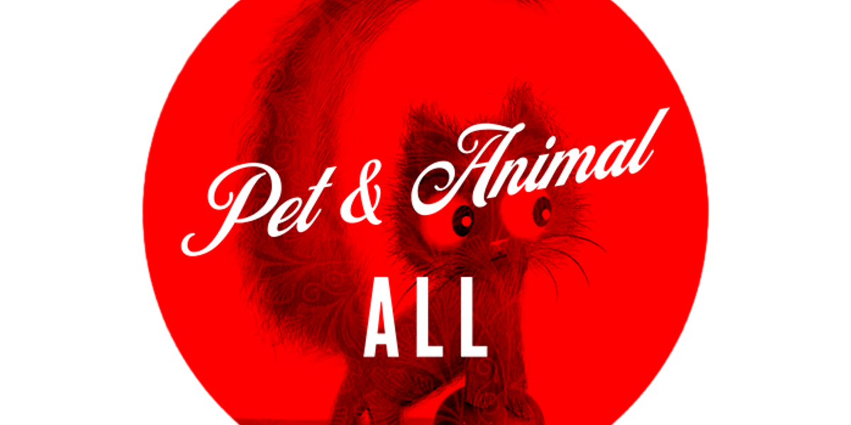 Pet & Animal - ALL