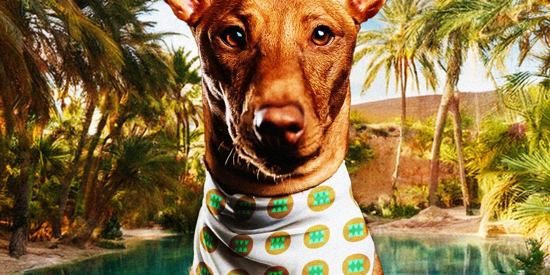 Pet & Animal - ALL