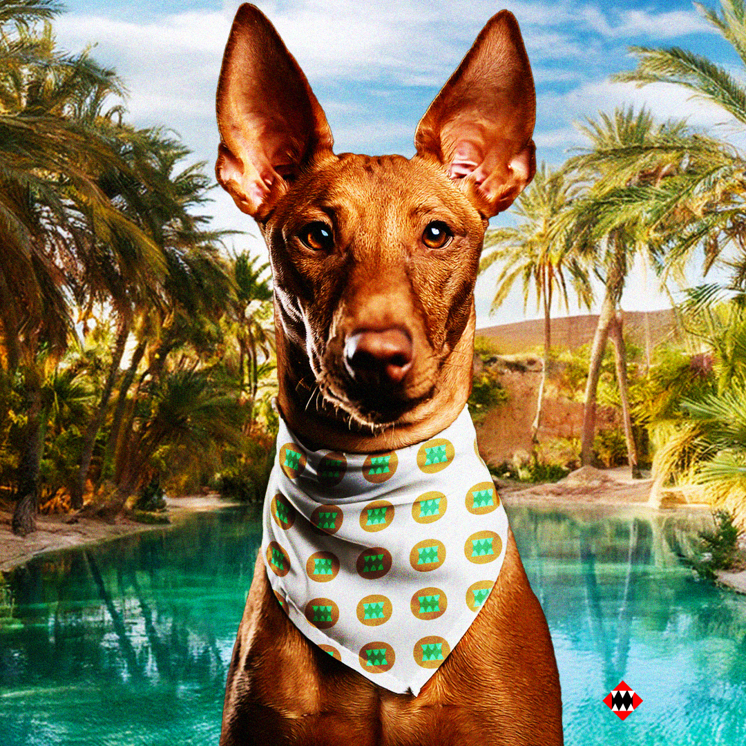 Pharoah_hound_bandana2.png