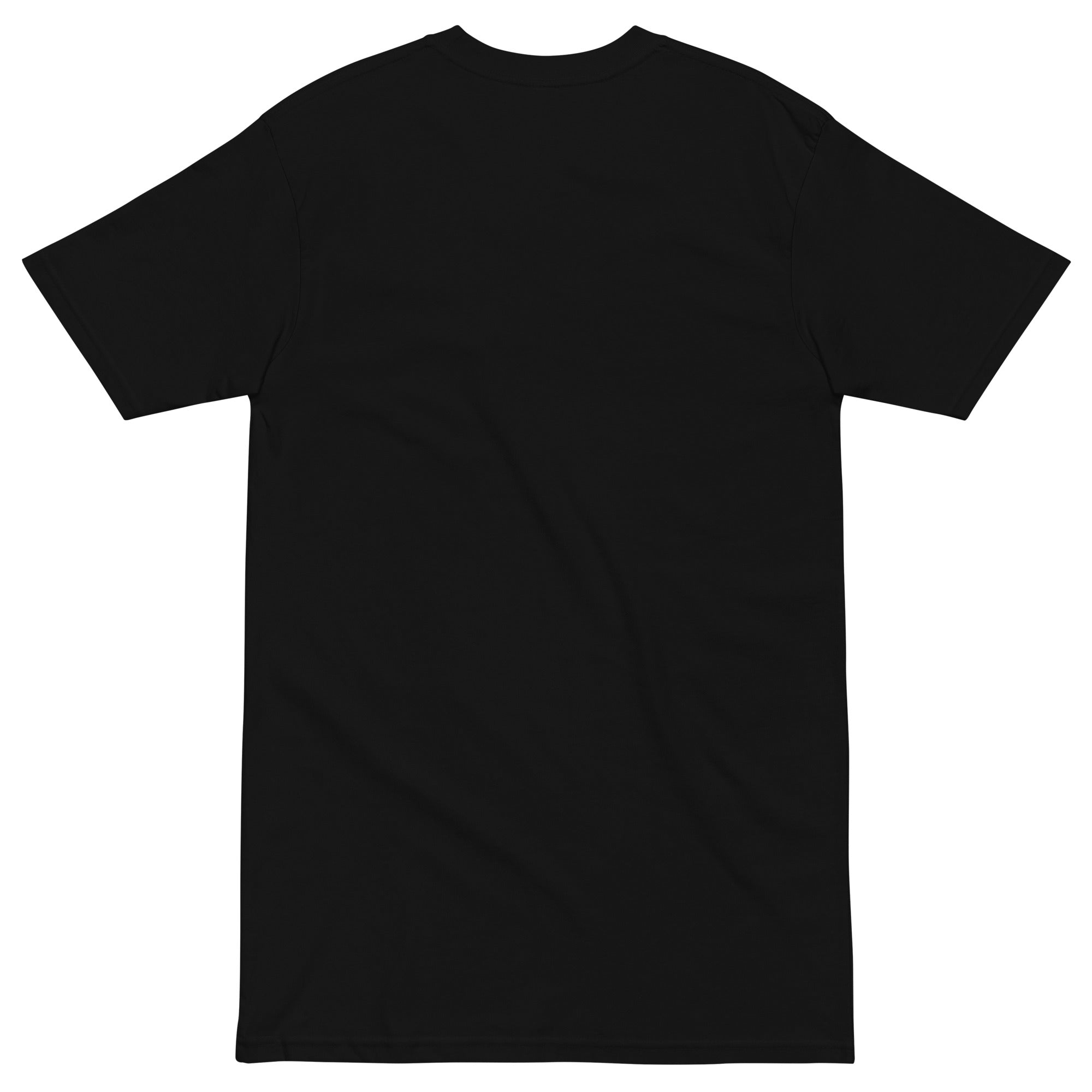 mens-premium-heavyweight-tee-black-back-66cfcac22e61d.jpg