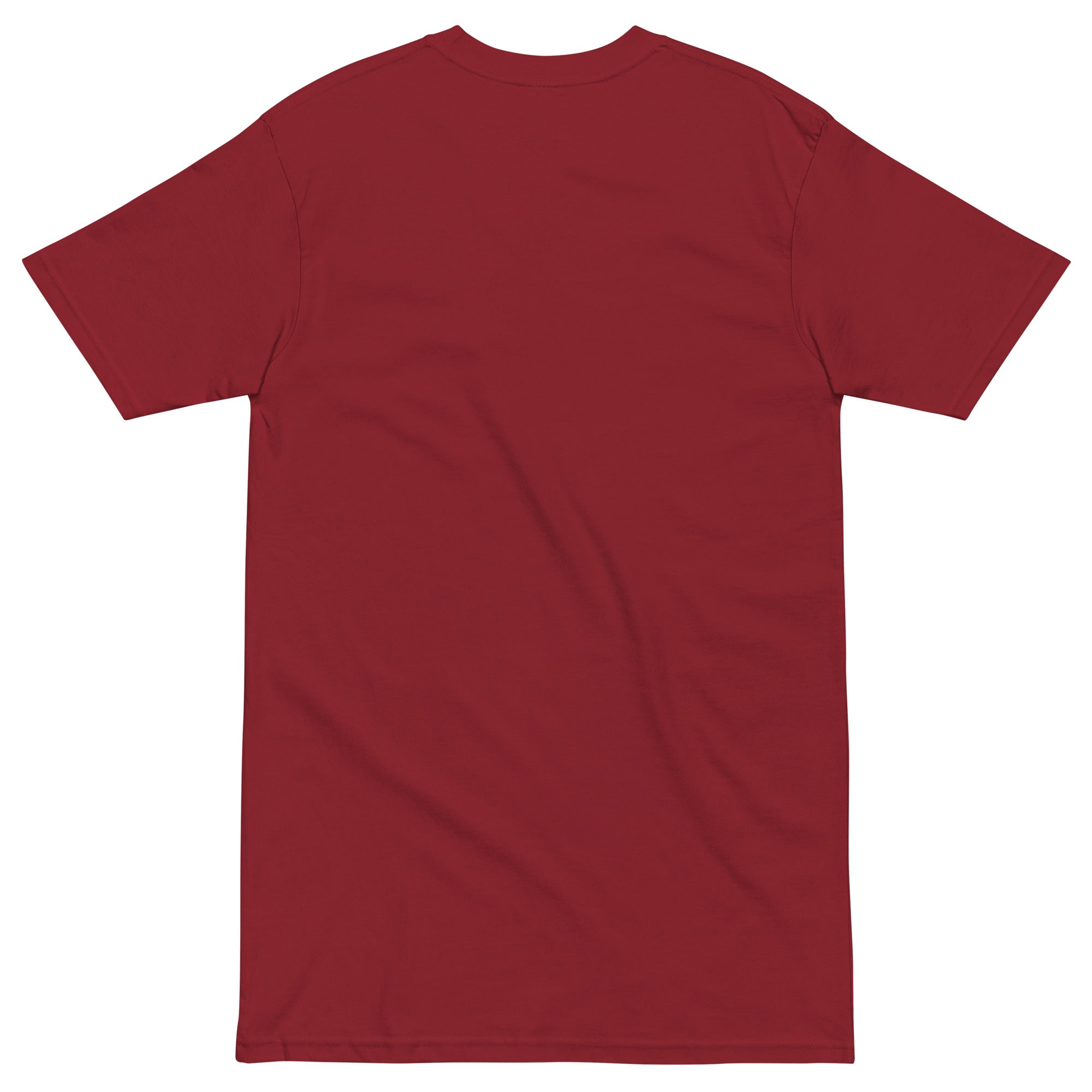 mens-premium-heavyweight-tee-brick-red-back-66cfcac240ec0.jpg