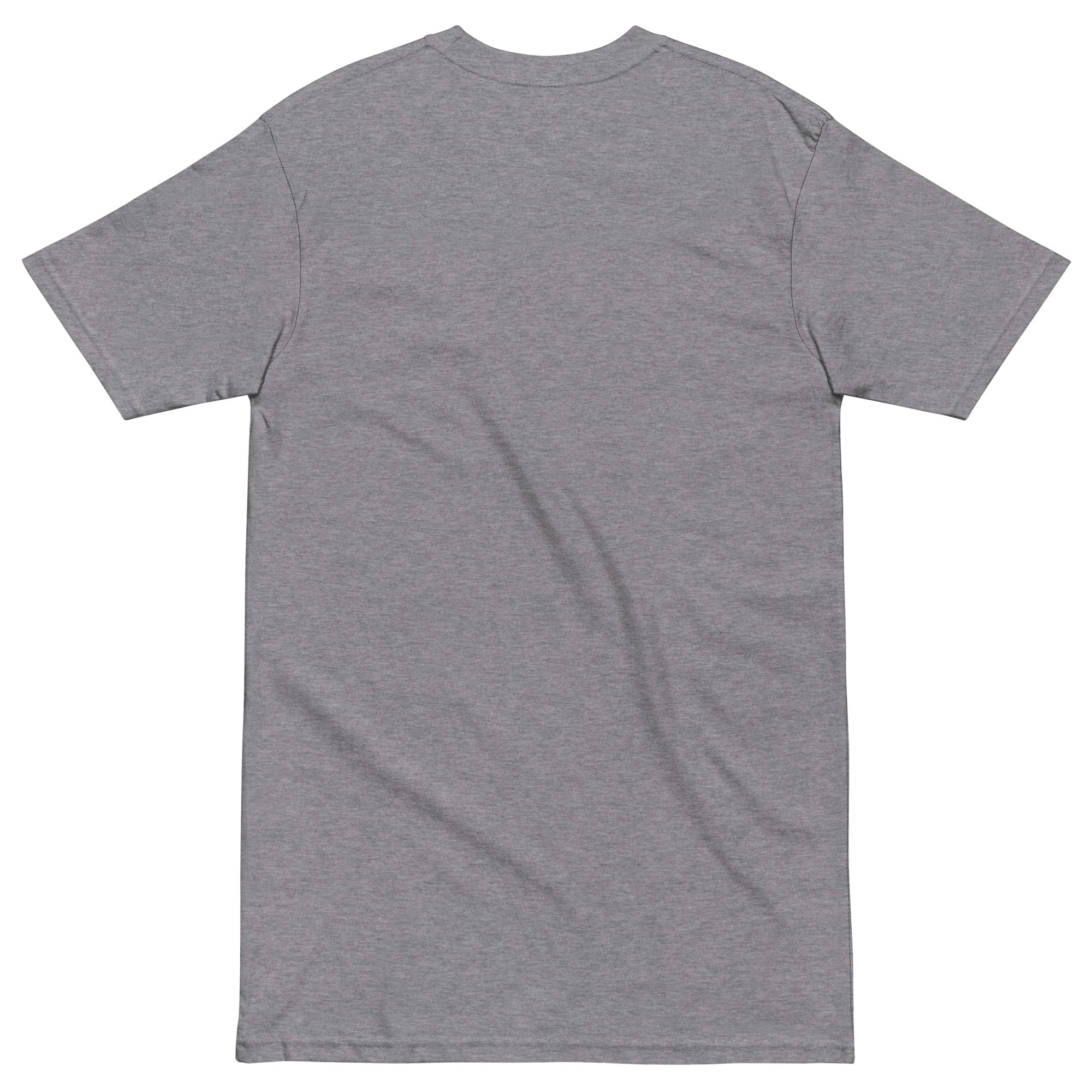 mens-premium-heavyweight-tee-carbon-grey-back-66cfcac24f066.jpg